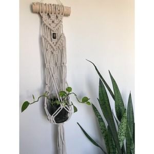 Macrame plant hanger / wall plant hanger